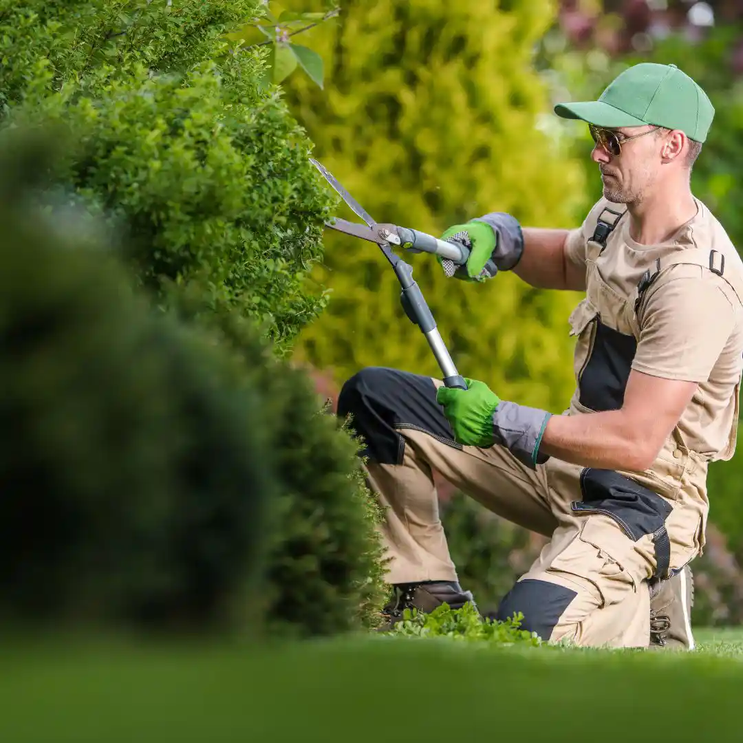 logiciel entretien espaces verts